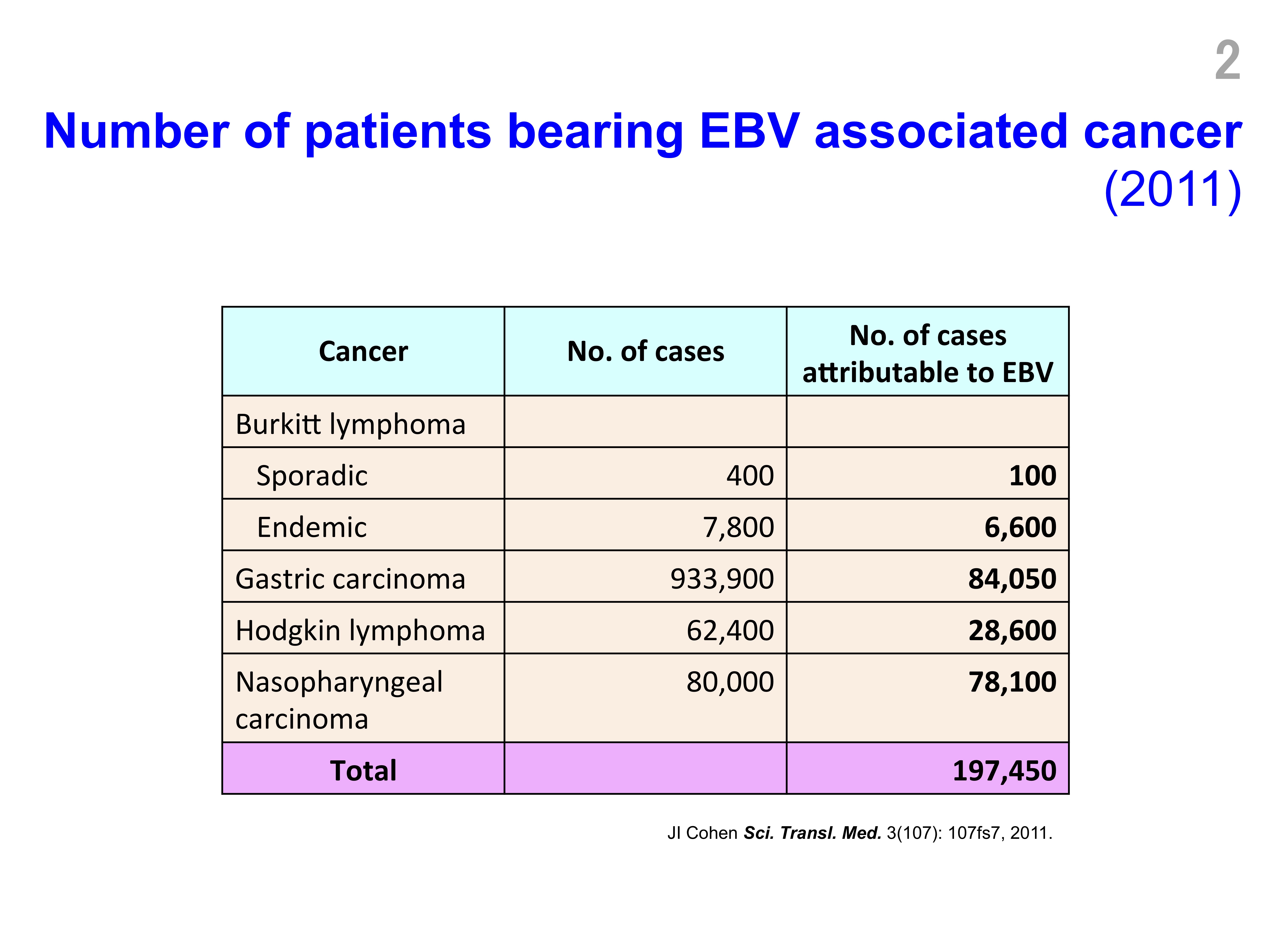 Basic Knowledge Of Epstein Barr Virus Ebv Yoshiyama Lab 4035